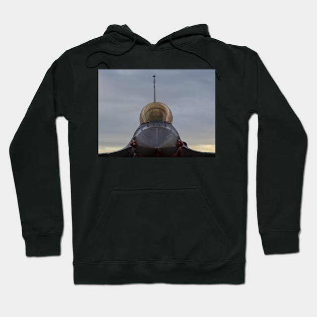 USAF F-16 Falcon Hoodie by captureasecond